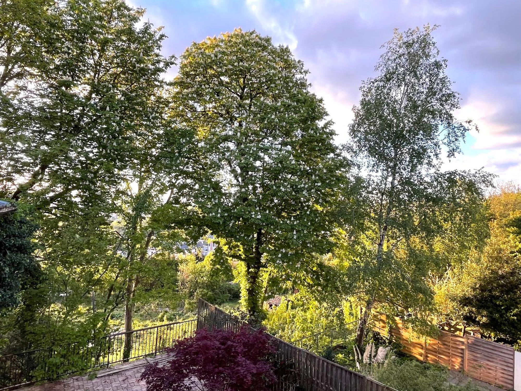 Sara Home Chennevières-sur-Marne 외부 사진